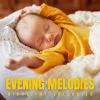 Download track Lullabies For Babies