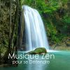 Download track Musique Relaxante De L'Océan