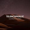 Download track Telencephalic