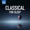 Download track Violin Sonata In A Minor, Op. 27 No. 2: II. Malinconia