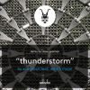 Download track Thunderstorm (Original Radio Edit)