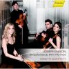 Download track 4. String Quartet In G Major Op. 644 - IV. Finale. Presto