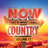 Download track Dancin' In The Country