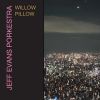 Download track Willow Pillow