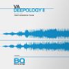 Download track Deepology II (Continuous DJ Mix)