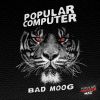 Download track Bad Moog