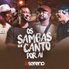 Download track Fogo De Saudade / Chorando Estrelas / Aquela Dama (Ao Vivo)