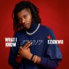 Download track What I Know