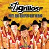 Download track Las Chiquillas