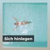Download track Tief Beruhigende Melodie Der Natur Und Des Klaviers