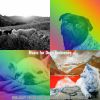 Download track Brilliant Music For Dogs