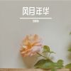 Download track 今天的云和你