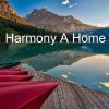 Download track Harmony At Home