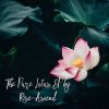 Download track A Pure Lotus (Rise-Ascend)