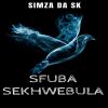 Download track Sebekhulumile