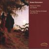 Download track Sonata In A Minor, Op. 105 - 1. Mit Leidenschaftlichem Ausdruck