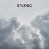 Download track Splenic