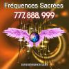 Download track Frequência 888 Abundância E Riqueza