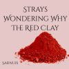 Download track Strays Wondering Why The Red Clay (Speed Up Remix)