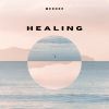 Download track Healing (Radio Edit)