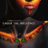 Download track Under The Influence (Instrumental)