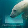 Download track Frigid Arctic Underwater Sounds, Pt. 14