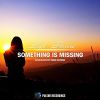 Download track Something Is Missing (Original Mix)