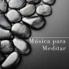 Download track Música Para La Inquietud