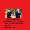 Download track Omri Cha3li Telephone