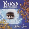 Download track Yaralıdır Anam Benim