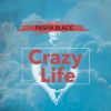 Download track Crazy Life