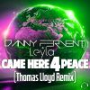 Download track Came Here 4 Peace (Thomas Lloyd Instrumental Remix)