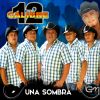 Download track El Tordillo De Durango