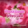 Download track Jani Hiwar Lo Nihar