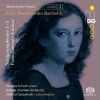 Download track Concerto For Piano And Orchestra In A Minor, MWV O 2 III. Finale - Allegro Ma Non Troppo