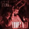 Download track Lumea Mea