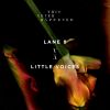 Download track Little Voices