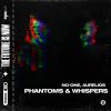 Download track Phantoms & Whispers (Extended Mix)