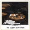 Download track The Perfect Cup Of Coffee