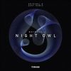 Download track Night Owl (AUST Remix)