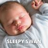 Download track Sweet Sleep