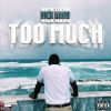 Download track Too Much