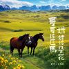 Download track 哥哥像匹马 妹妹像朵花 (伴奏)