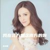 Download track 我在北方想念南方的你 (DJ小刚版110)