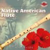 Download track Soothing Native American Music - Rain Sound