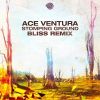 Download track Stomping Ground (BLiSS Remix)