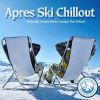 Download track Arctic Breeze - Tom Schiller Nordic Cold Chill Mix