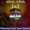 Download track Wasal Allah Alanoorim