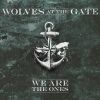 Download track We Are The Ones