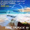 Download track Everything (Angel Ace Remix)